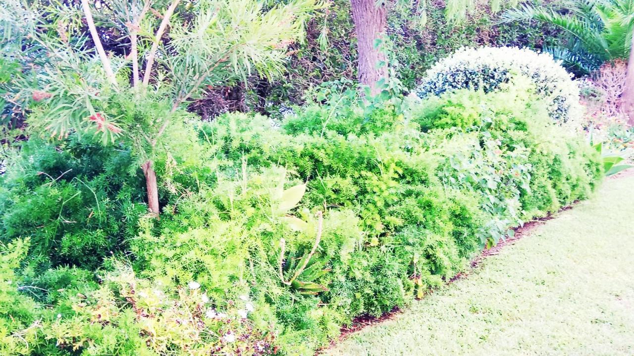 Albufeira 603 Διαμέρισμα Εξωτερικό φωτογραφία